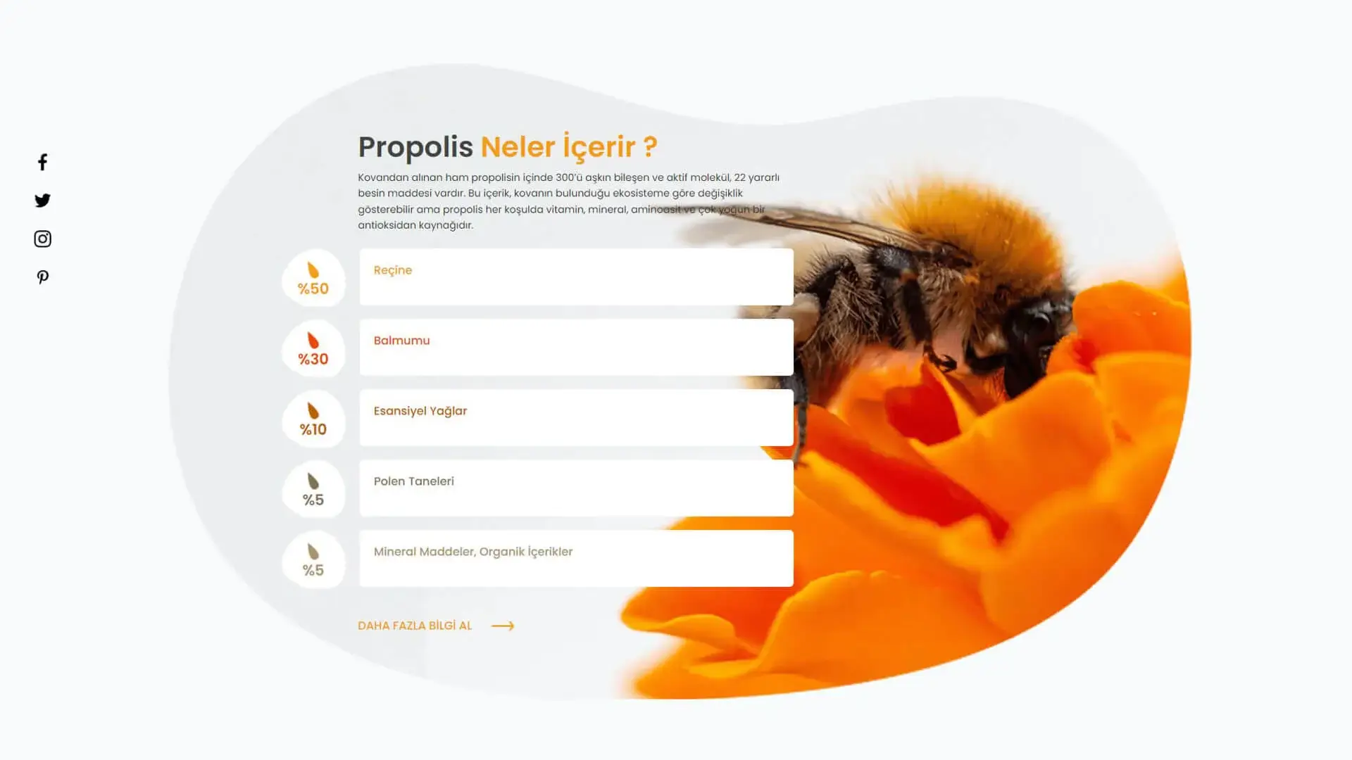 E-Ticaret Ürün İçerik Bilgisi