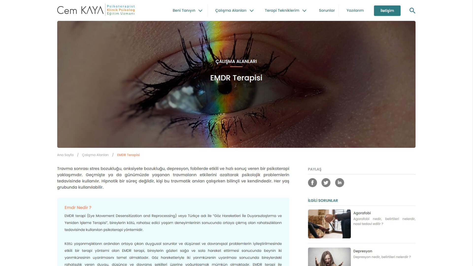 web sitesi terapi alanları detay sayfası tasarımı