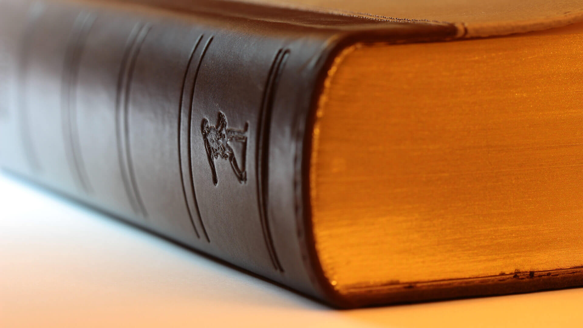 Güzeloğlu Legal Web Sitesi Geliştirme