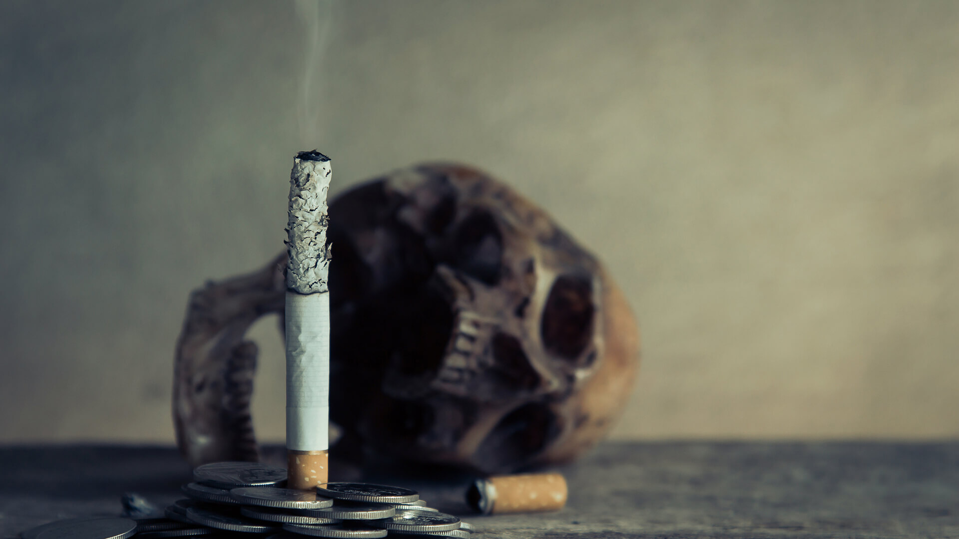 Nilena Biorezonans Web Sitesi Geliştirme