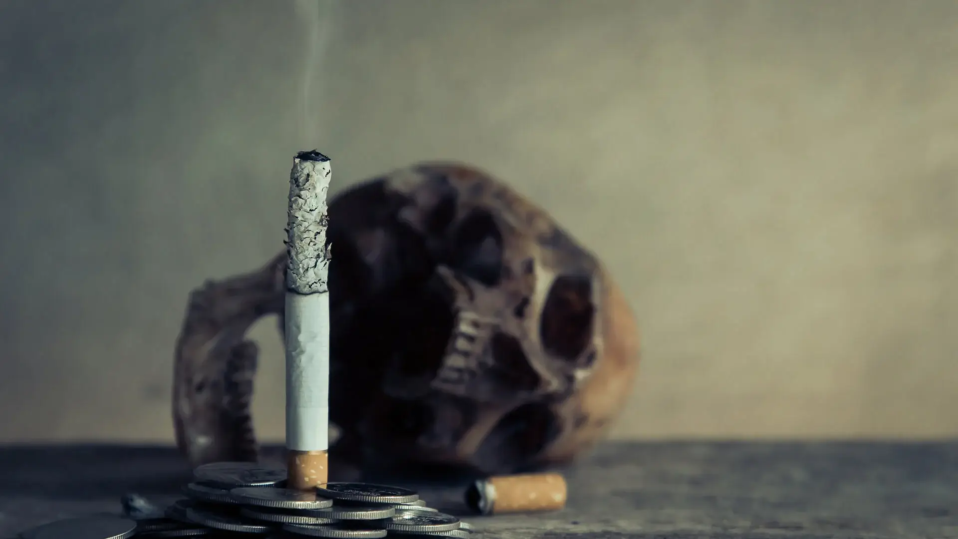 Nilena Biorezonans Web Sitesi Geliştirme