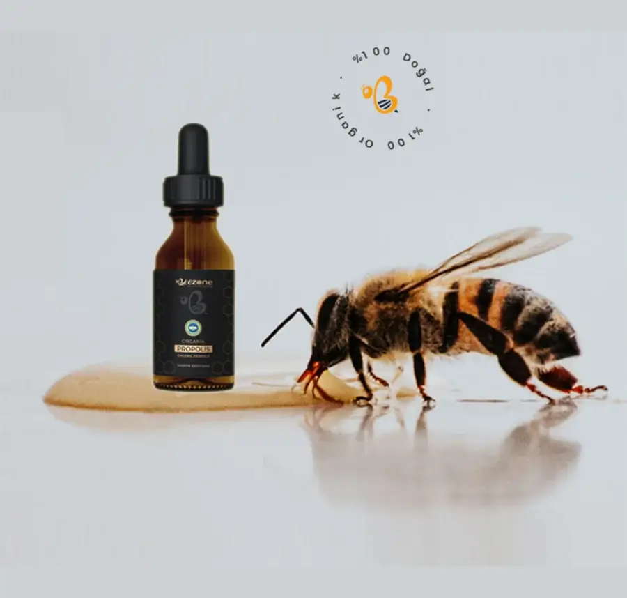 Marka Hikayesine Özel Tasarım