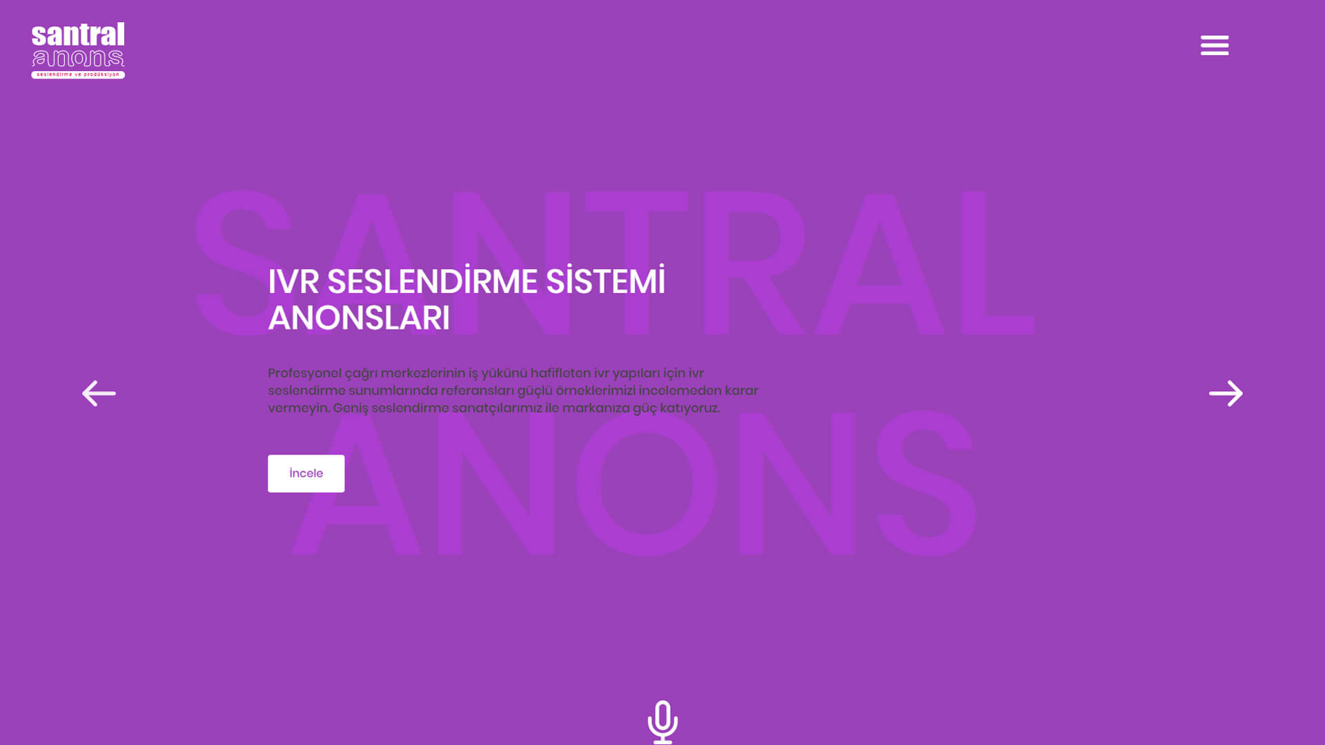 Santral Anons web sitesi arayüz 1