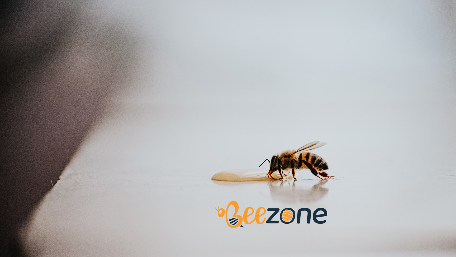 BeeZone E-Ticaret Yazılım Projesi Geliştirmeleri Başladı