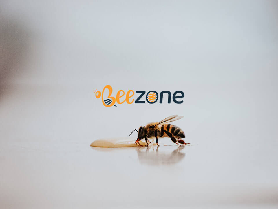 BeeZone E-Ticaret Yazılım Projesi Geliştirmeleri Başladı