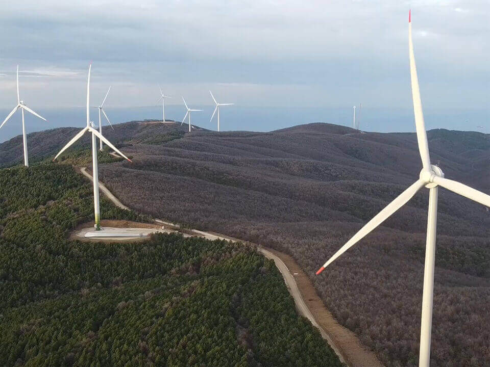 Doğuhan Enerji Web Tasarım, Web Yazılım Geliştirmeleri