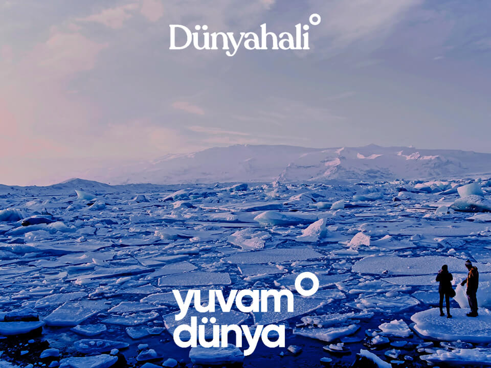 İklim ve kültür dergisi Dünyahali web sitesi geliştirmesi