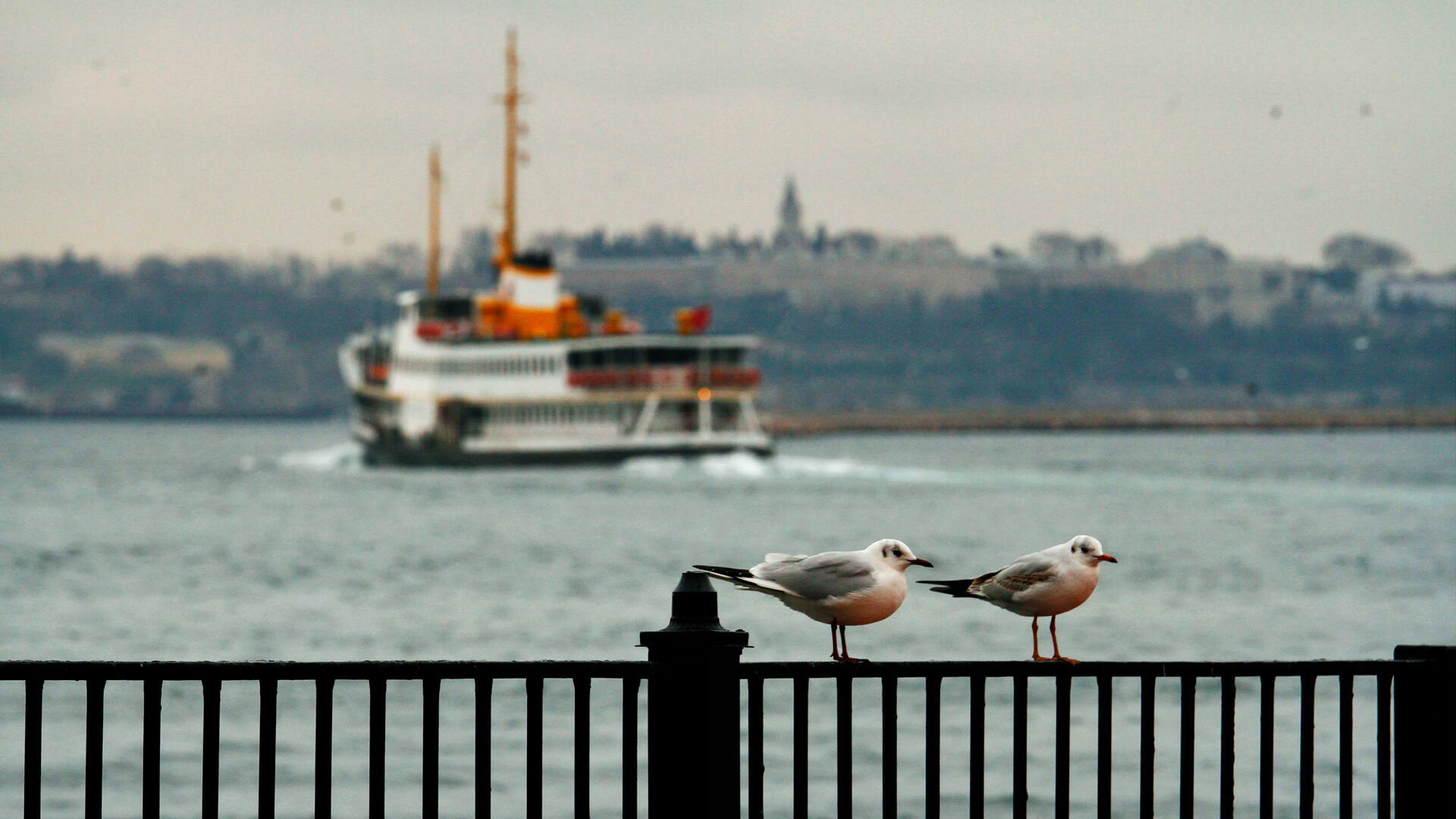 Şehir Hatları web sitesinin yeni yüzü, görme engellilerin gözü oldu !