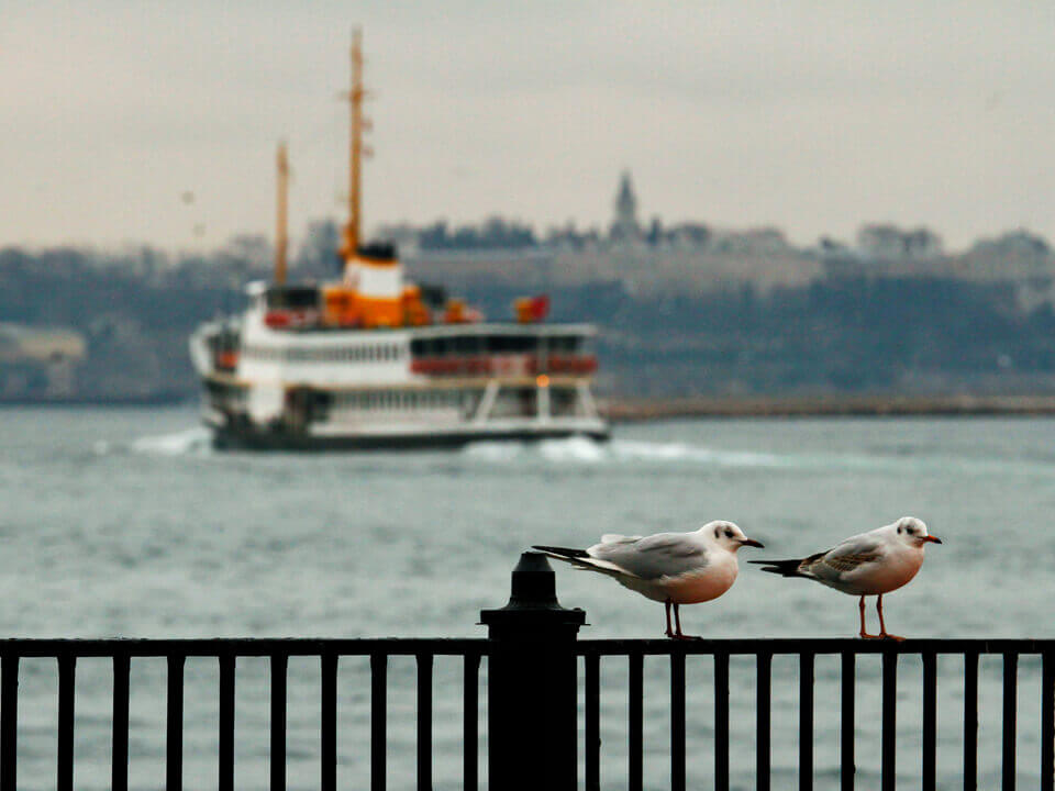 Şehir Hatları web sitesinin yeni yüzü, görme engellilerin gözü oldu !